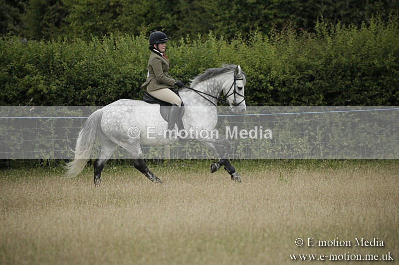 B230619-0137 - Bourne Valley Riding Club Summer Show 23/06/19
