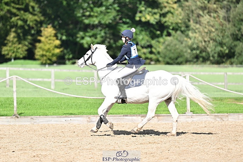 251005A-140806-04298 - Cls 09 Nov 80-85cm