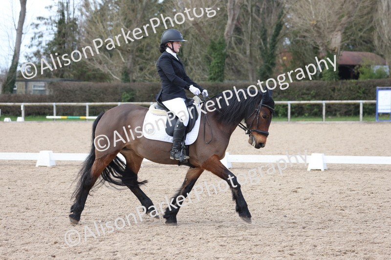 20260301-0856 - Class 5 - Elementary 4