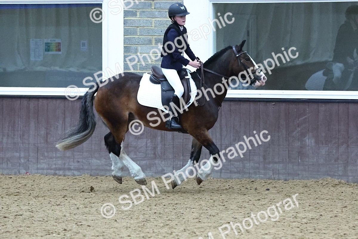 SBM_005729 - Class 7 - 70cm Open