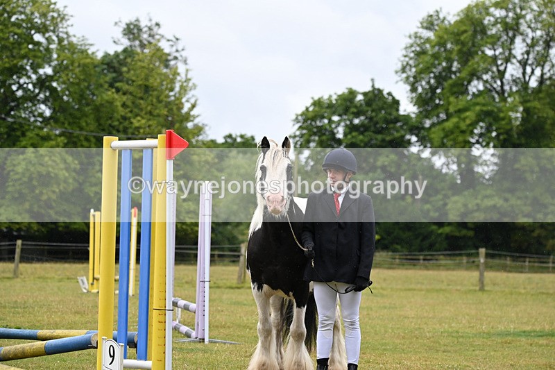 WJ6_8927 - Class 10 Coloured in-hand