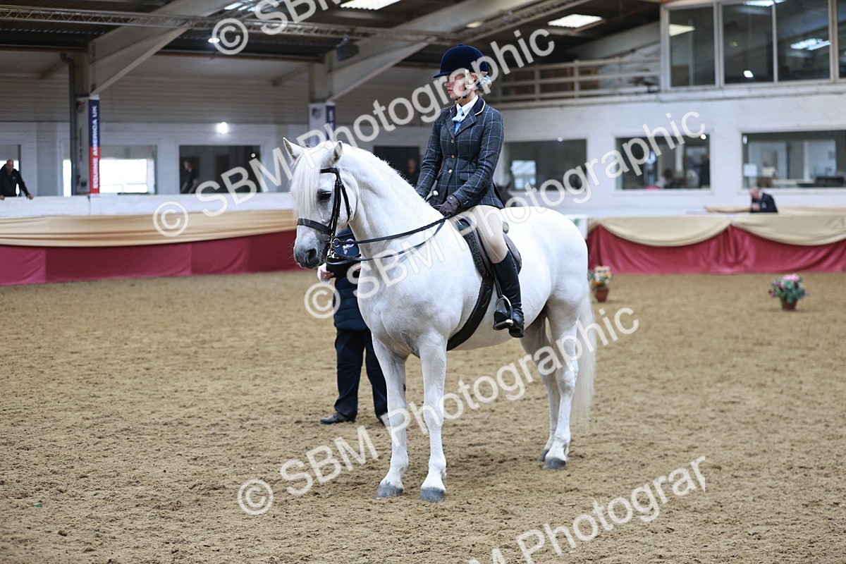 SBM_08889 - Class 12R - Regional Ridden Pre-Vet