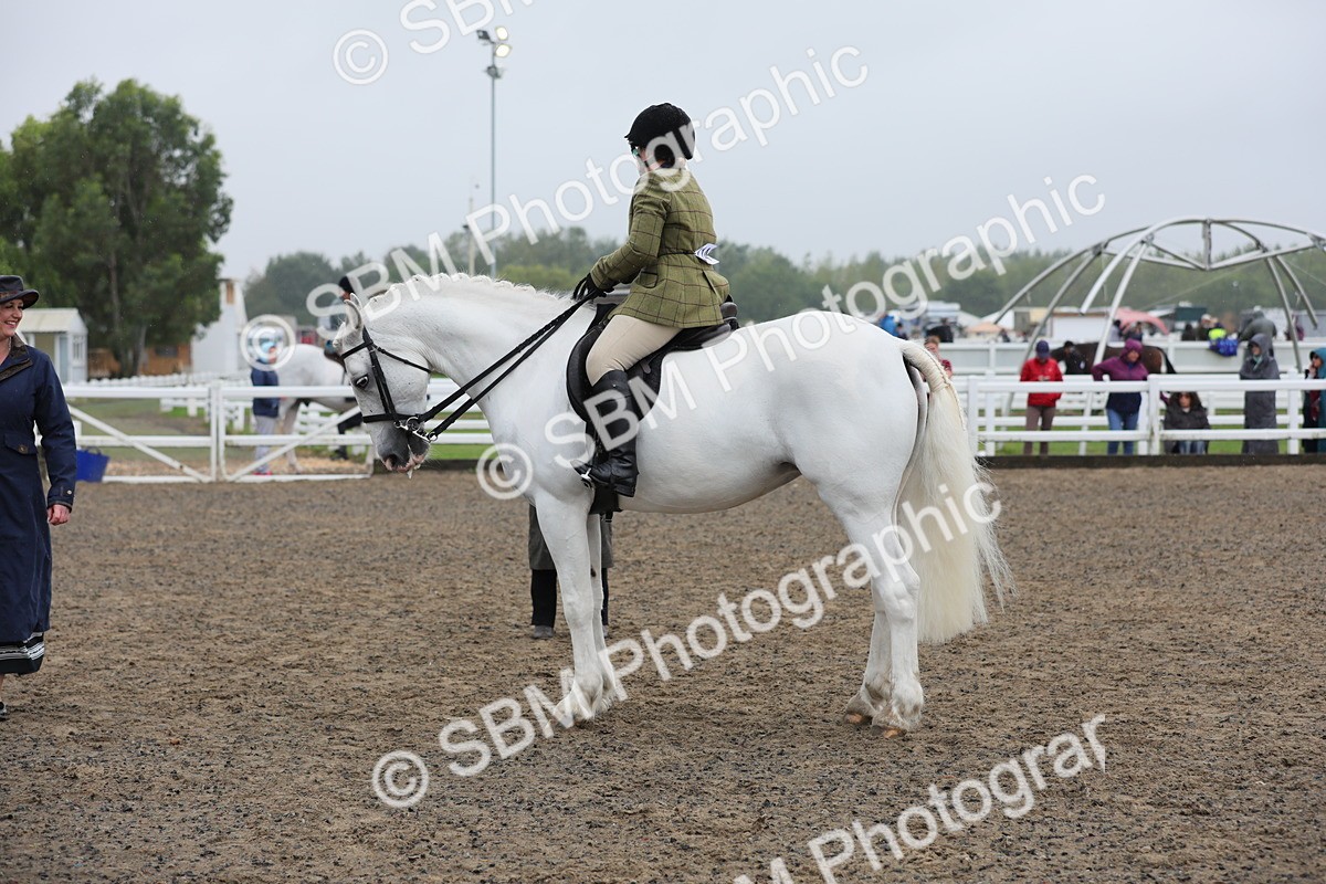 SBM_20315 - Class 803 - Ridden Combination 65+