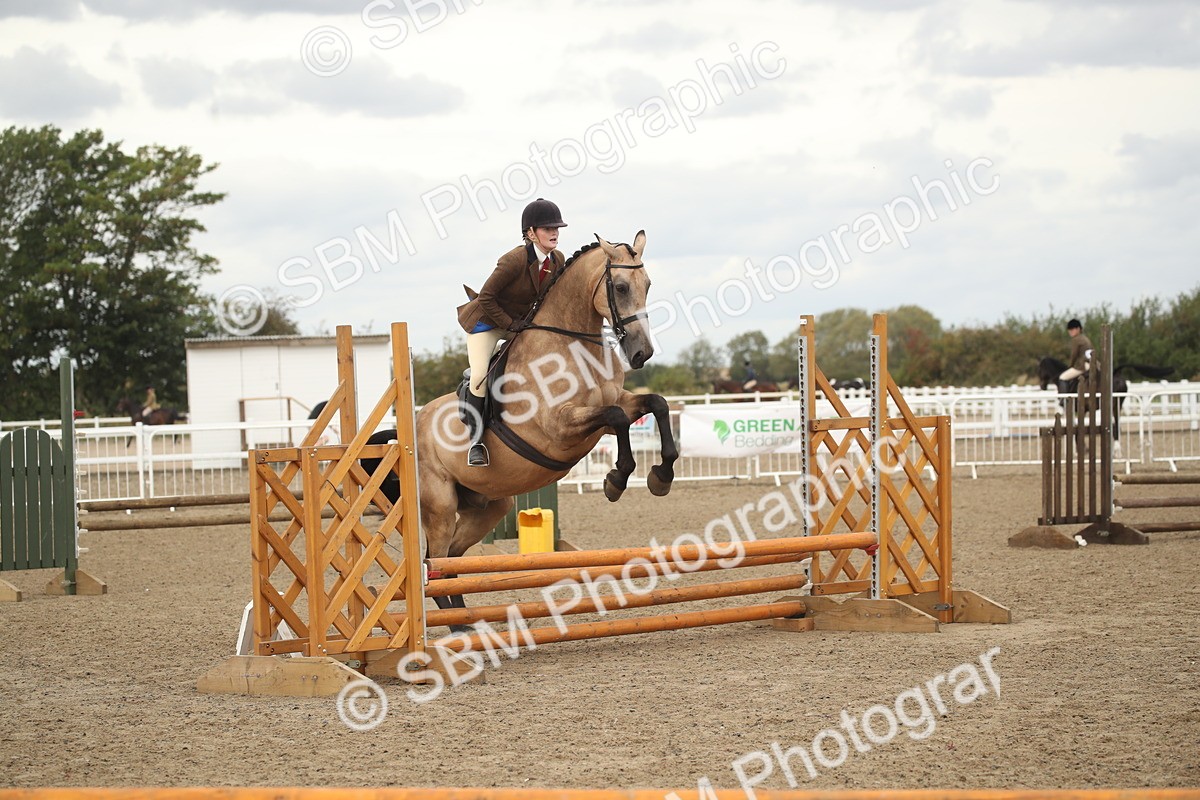 SBM_16662 - Class 507a - Working Veteran - 60cm (15-19)