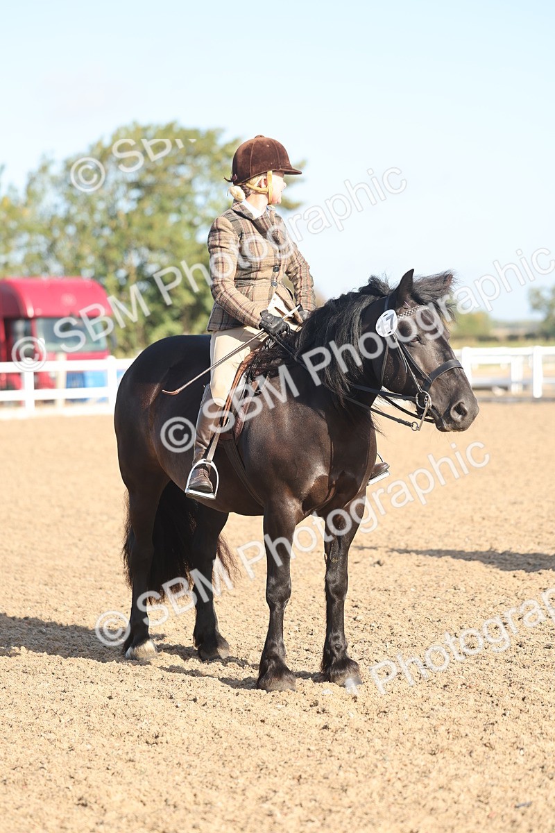 SBM_22133 - Class 801 - Ridden Veterans