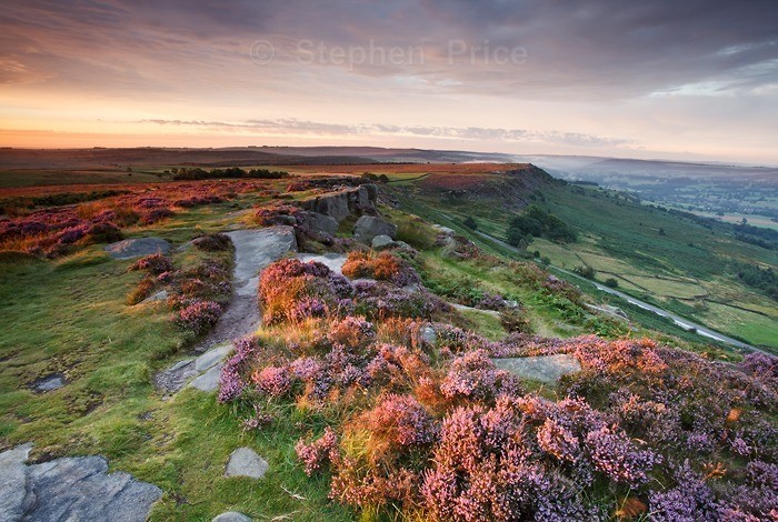 Photo of Peak District Heather | Curbar Edge, Derbyshire at Dawn