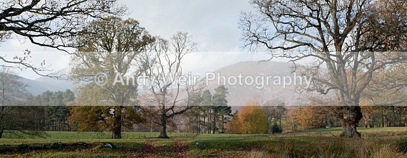 20111121-_MG_7589 - Lake District