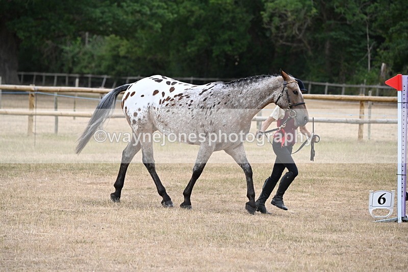 WJ6_8537 - Class 10 Coloured in Hand