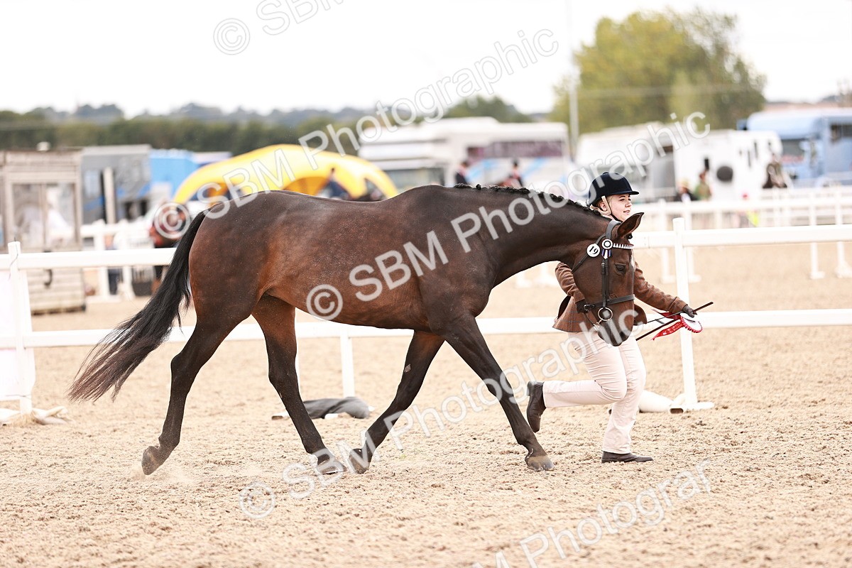 SBM_16375 - Class 413 - Best Condition - Adult