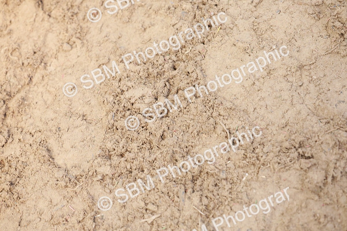 SBM_15609 - Class 109 - Ridden Pairs -Section A