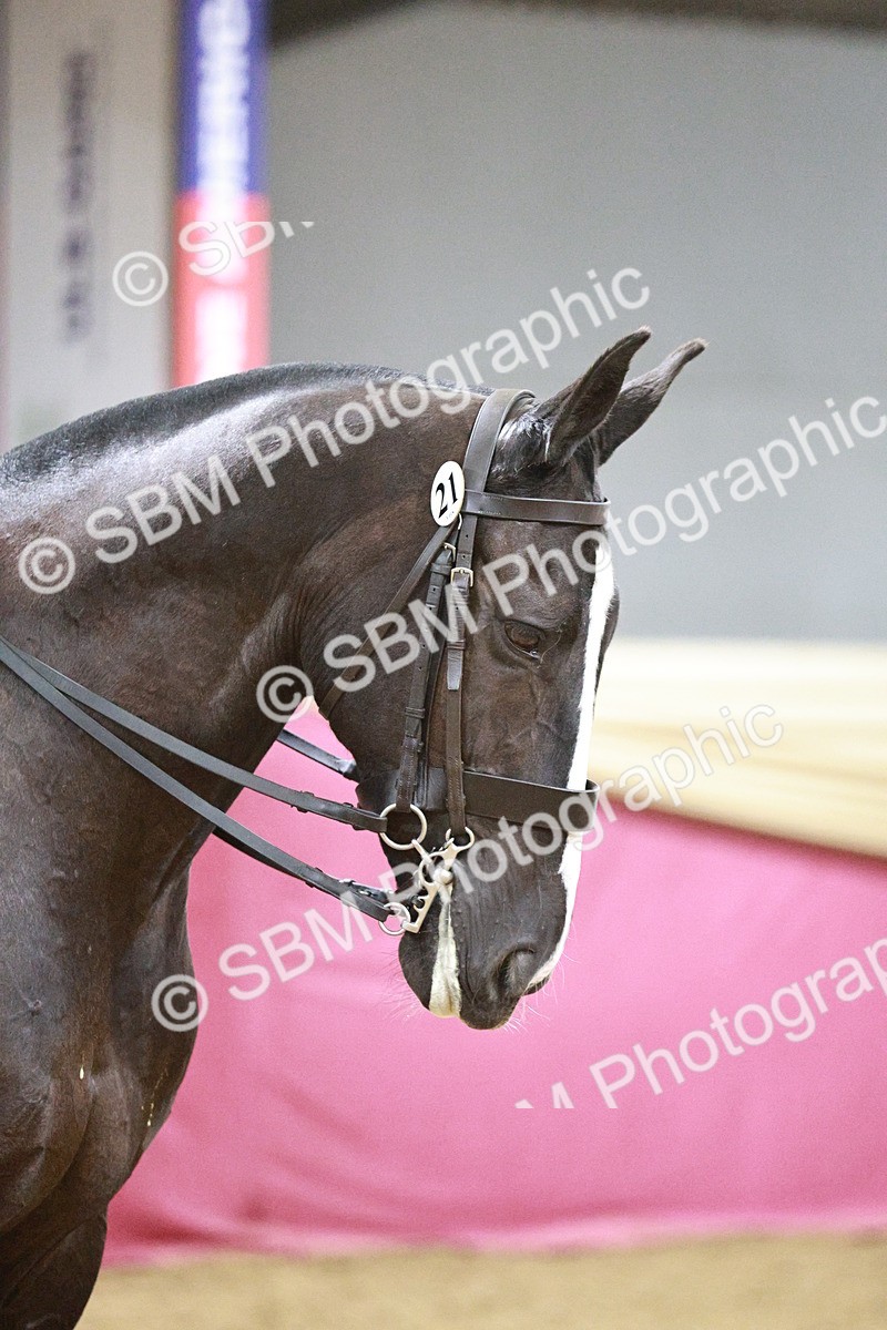 SBM_08084 - Class 11R - Regional Ridden Veteran