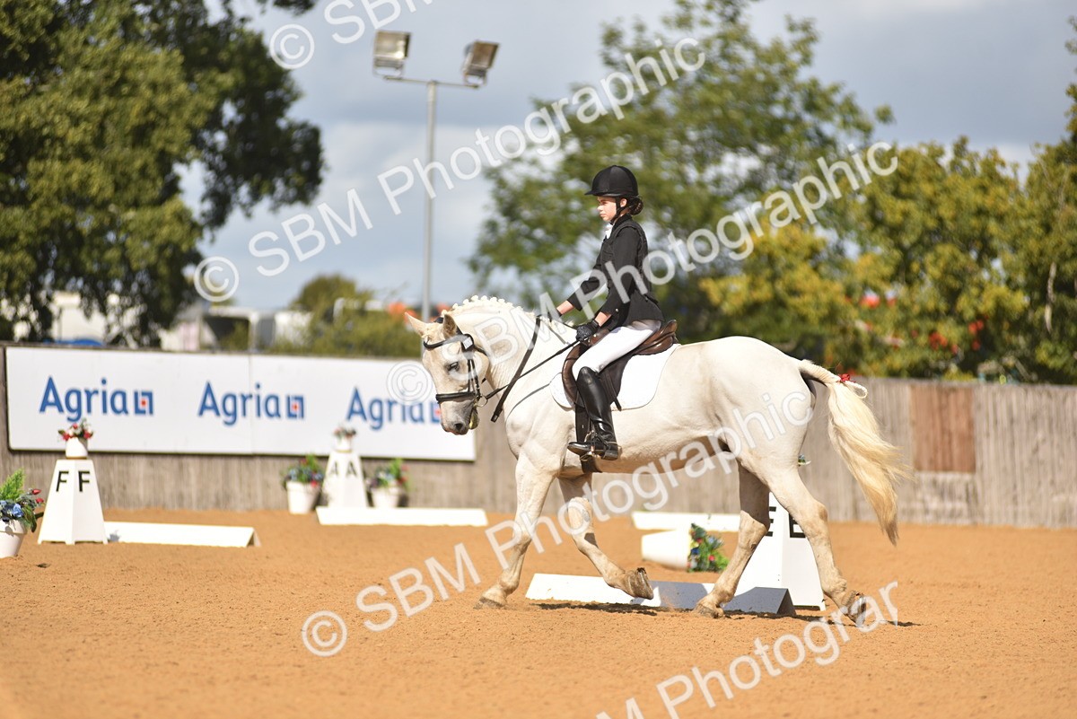 SBM_03340 - D4 - Small Tour Championship Intro 4