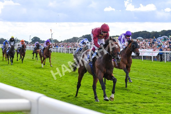 260823-Race 2-Middle Earth-0343 - Race 2 Sky Bet Melrose Handicap