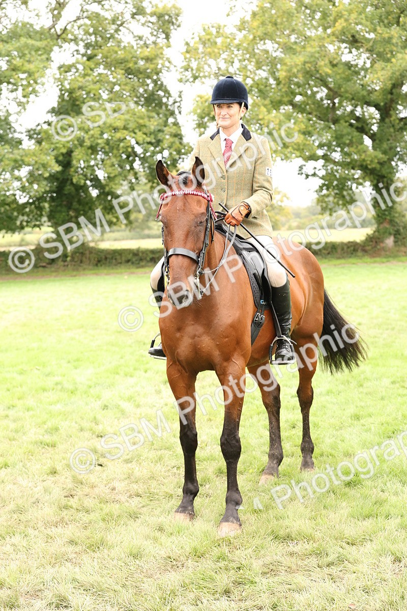 SBM_64340 - S65 - Riding Horse & Hack & Thoroughbred Ridden