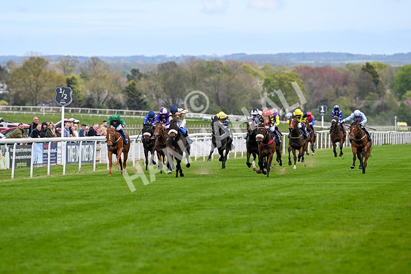 240425-Race 1-Tropical Dreamer-0885 - Race 1