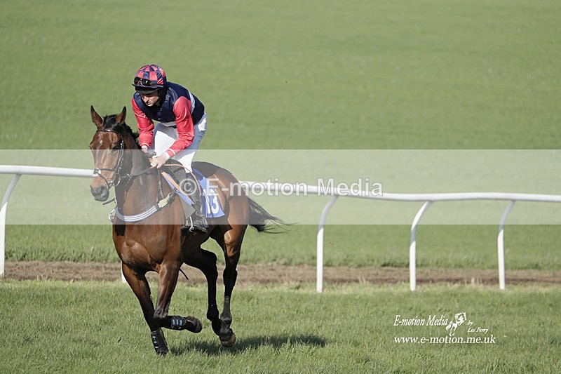 PtP 100423 1261 - Old Berkshire Point-to-Point Lockinge 10/04/23