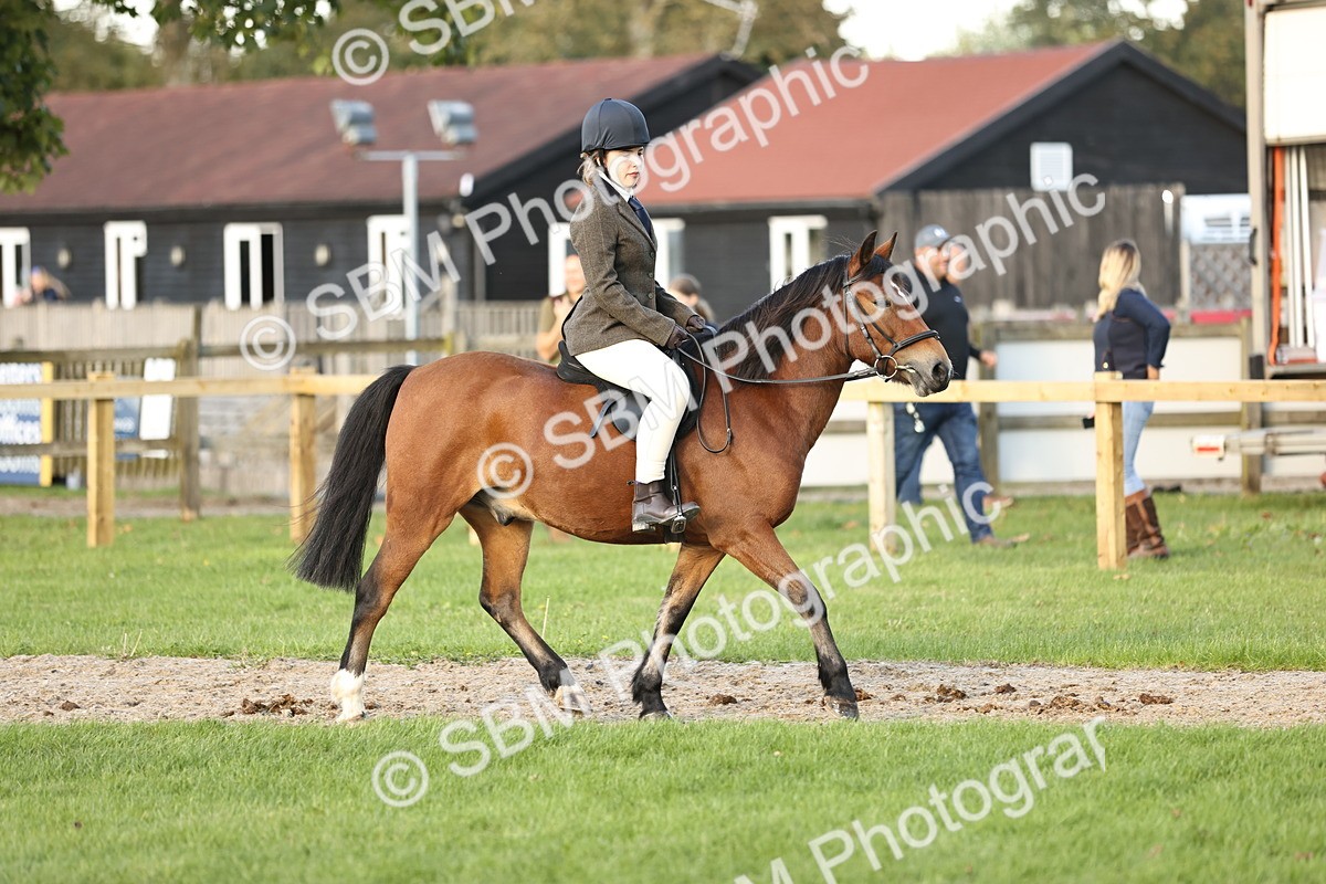 SBM_29531 - S7 - Novice & Newcomers Ridden Pony
