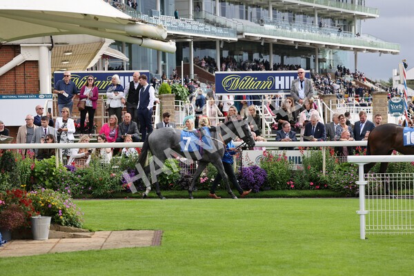 yr24092021r4-4 - Race 4 3.15pm William Hill Play Responsibly British EBF Restricted Novice Stakes