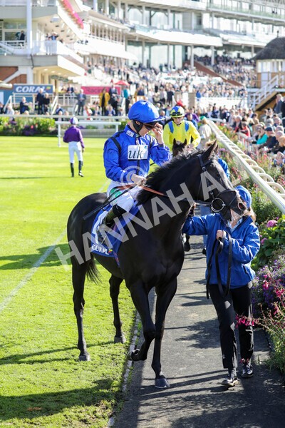 yr08102022r2-17 - Race 2 2.05pm The Coral Rockingham Stakes