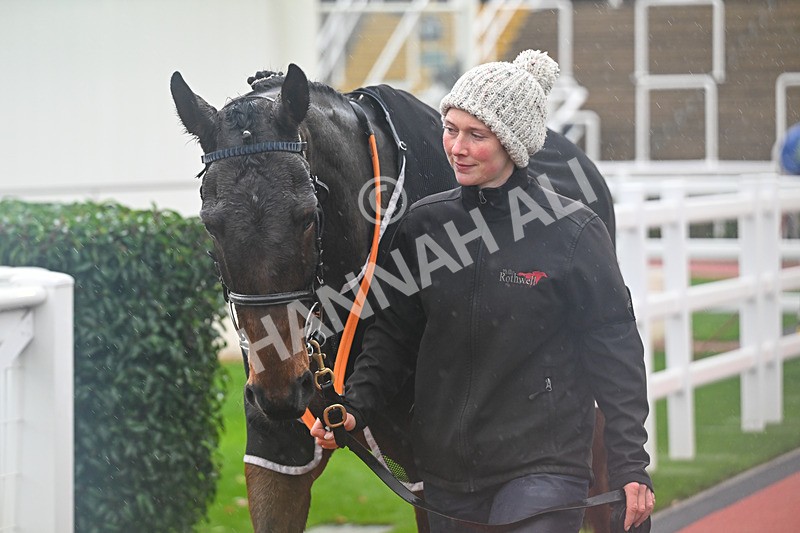 141125-Race 2-Dreal Deal-9328 - Race 2