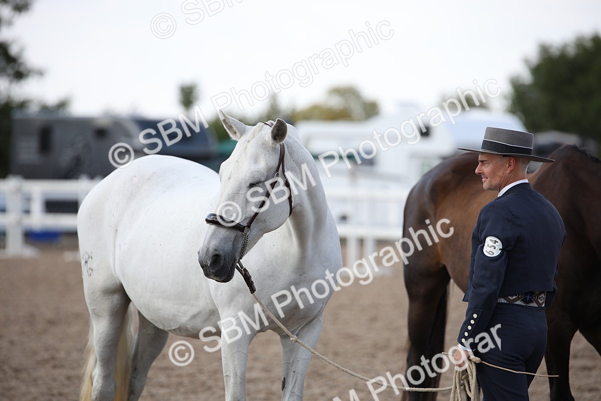 SBM_07126 - Class 25 IH Foreign Breeds- Pure bred