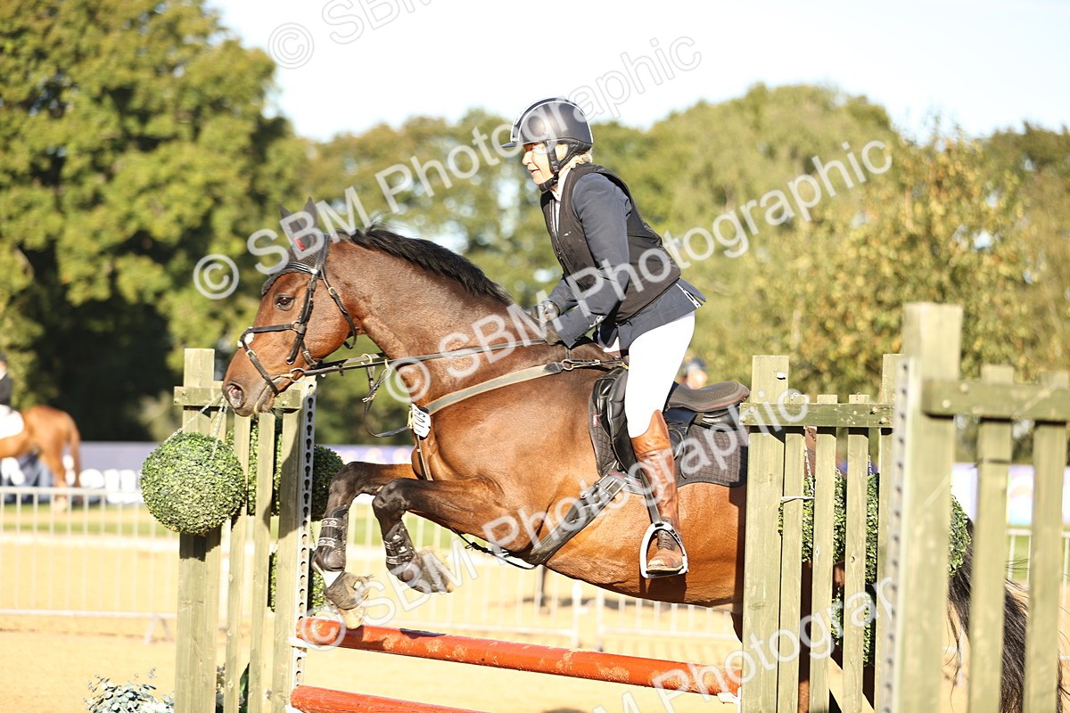SBM_33121 - J38 - Senior 80cm Championship
