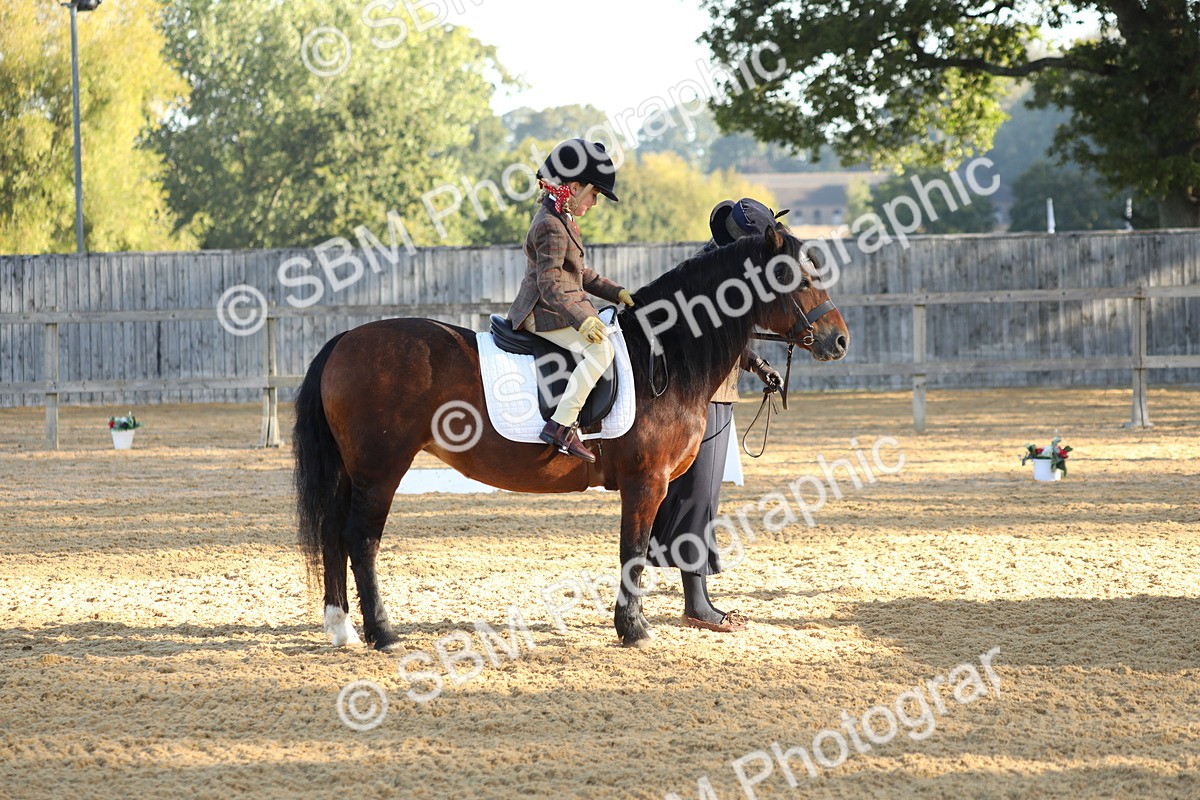 SBM_33685 - D26 - Starers - Lead Rein