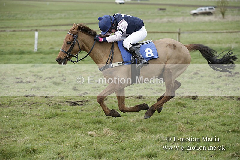PtP 150320 0790 - New Forest Point-to-Point Larkhill 15/03/20