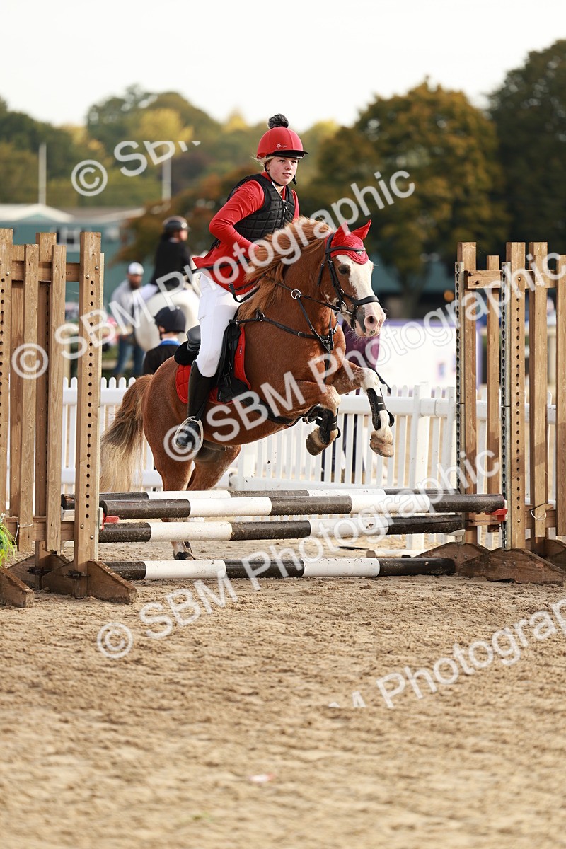 SBM_55629 - J11 - Junior Pony 50cm Championship