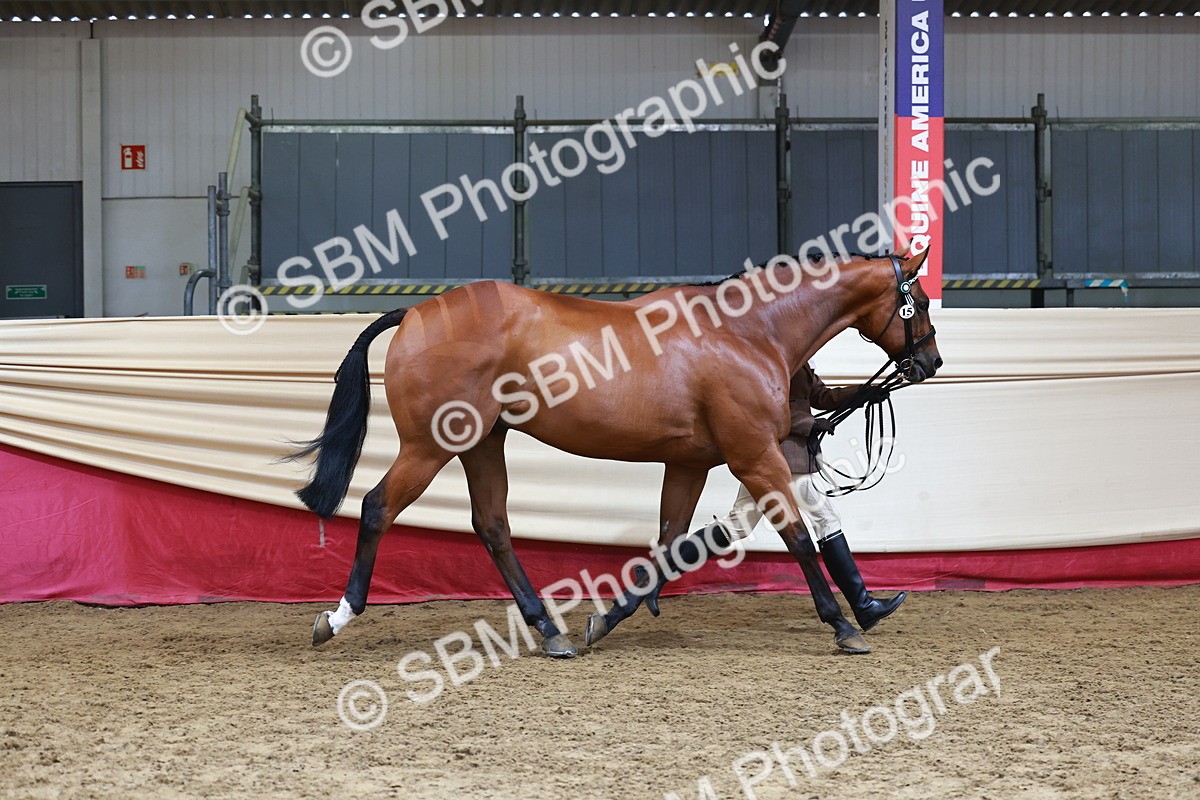 SBM_23203 - Class 903 - Supreme Final - IH Pre Vet