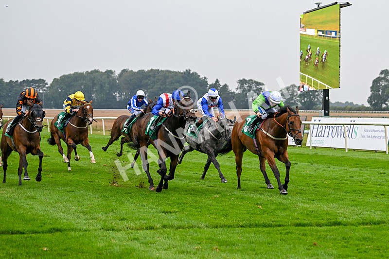 070924-Race 4-Kings Merchant-7557 - Race 4