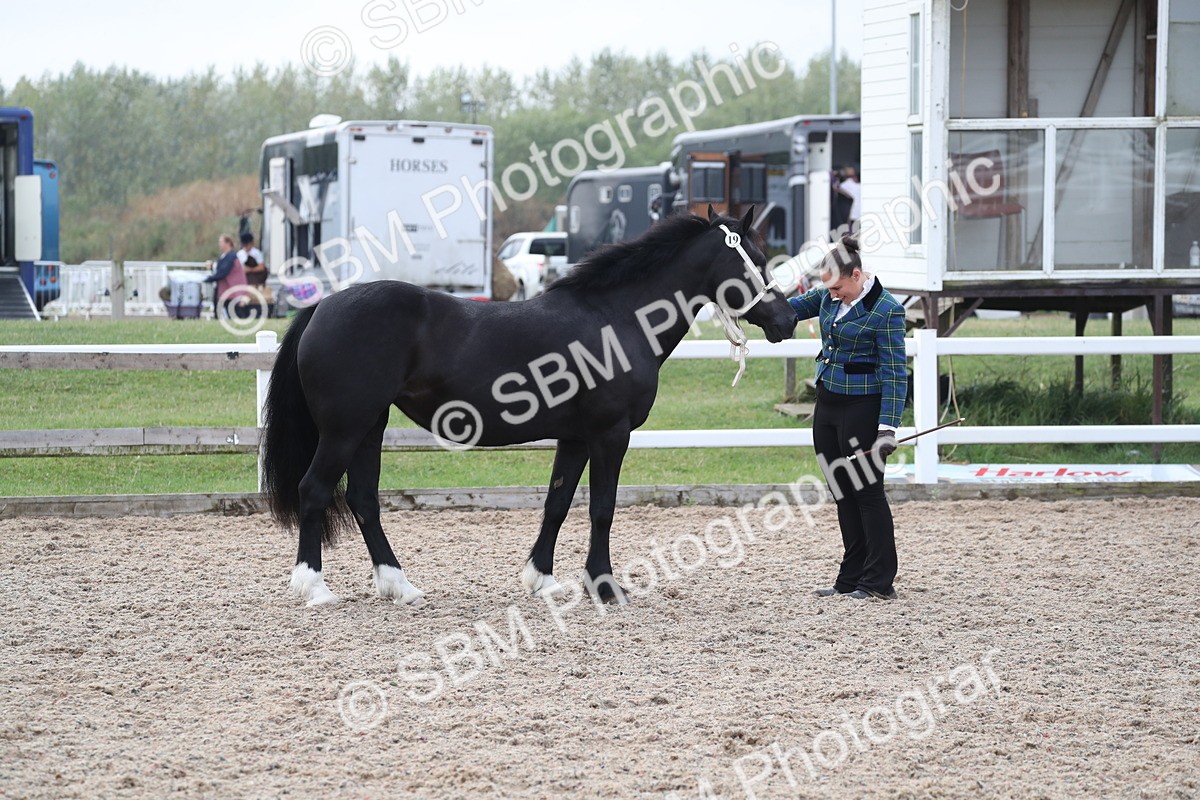 SBM_23301 - Class 606 - 2025 Area - IH Pre Vet