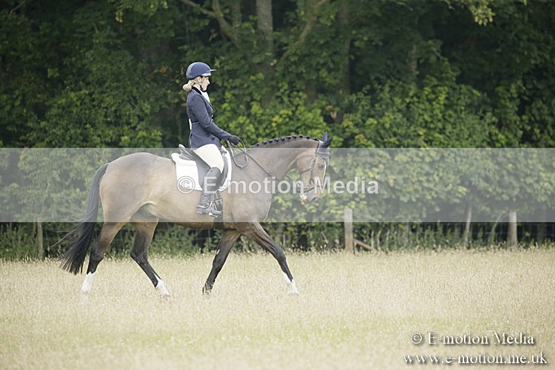 B230619-0681 - Bourne Valley Riding Club Summer Show 23/06/19