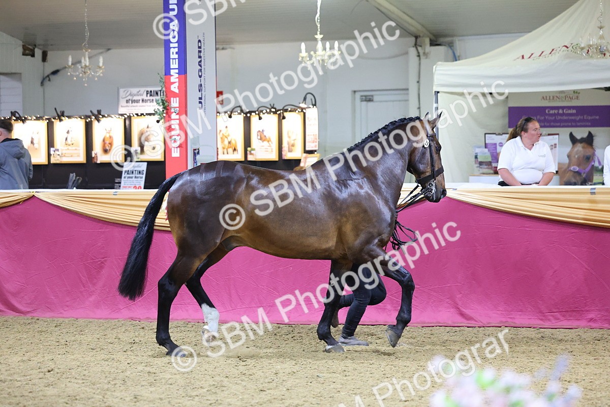 0B8A4552 - Class P Veteran Champ