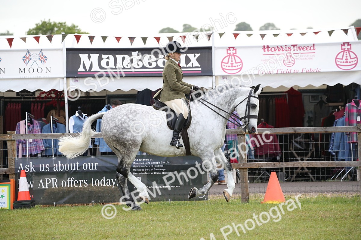 SBM_11056 - Class 92-93 - LIHS BSHA Rising Star Cobs