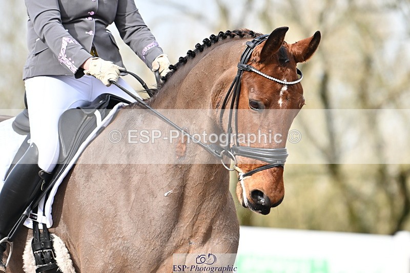 240218A-131435-07585 - 108-Michelle.Bates-Enigmatic.Update