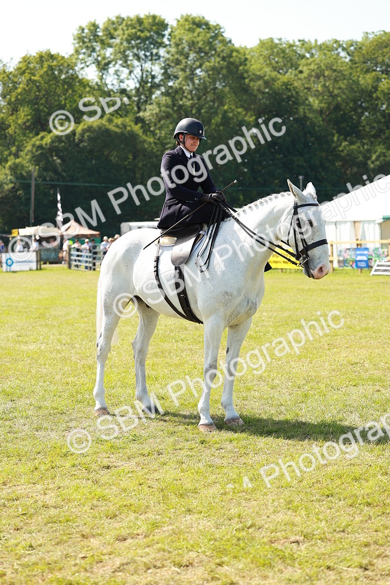SBM_13193 - Class 70-71 - Side Saddle