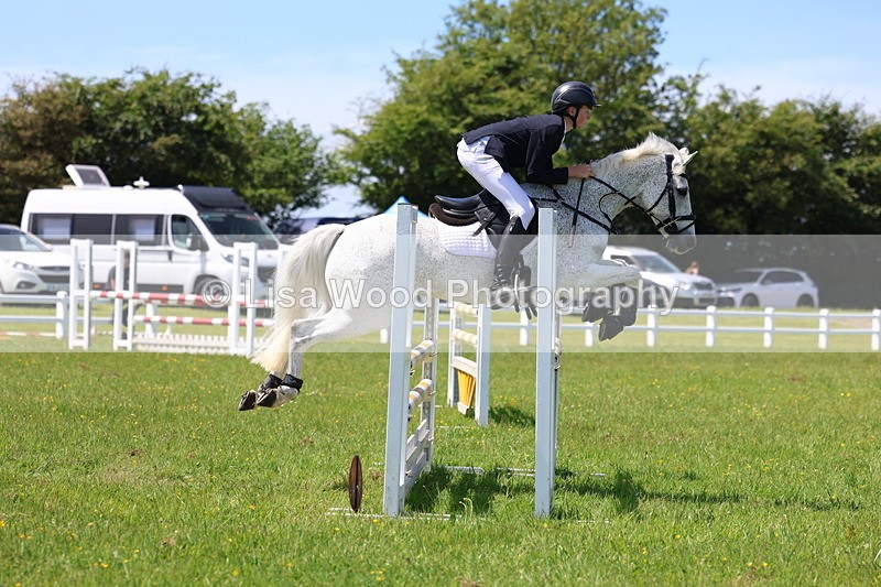 3E7A0847 - Class 10: Pony Newcomers/1m open