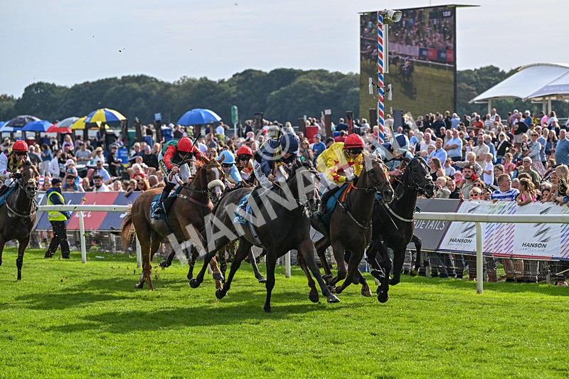 060926-Race 6-Power Fizz-8775 - Race 6 4.25pm Eboracum Security Handicap