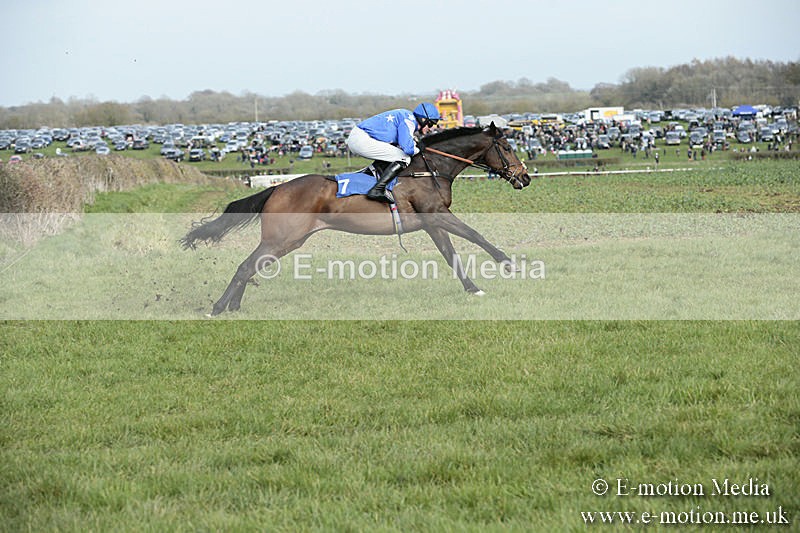 PtP 230319 348 - VWH Hunt Siddington Point-to-Point Racing 23/03/19