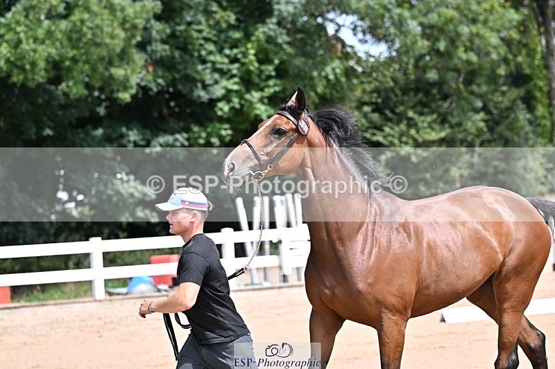 250716-124138-00116 - Trot Up 12.30 to 1.30