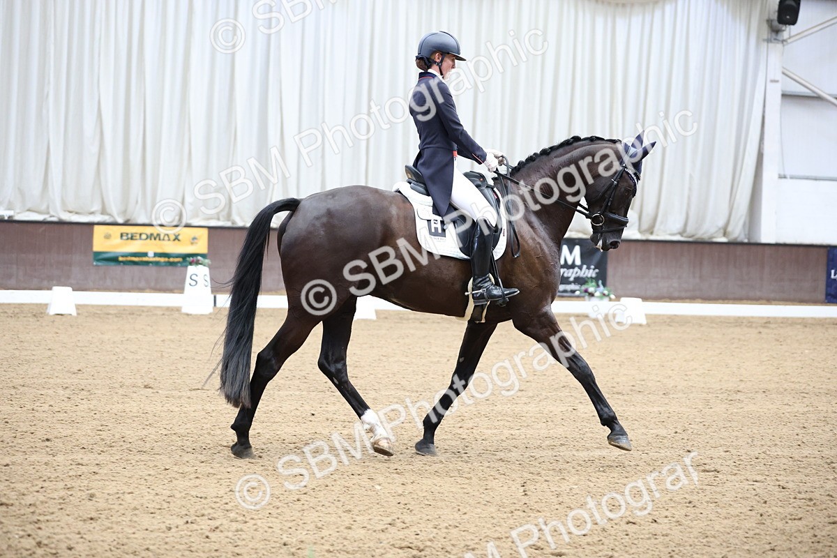 SBM_004478 - Class 9 - FEI Inter 1 Gold - 15.55-16.43