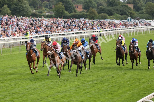 yr18082021r5-47 - Race 5 4.10pm Sky Bet Stakes