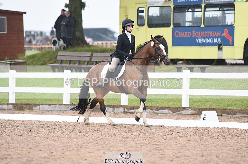 230708A-125644-01809 - Prelim 7