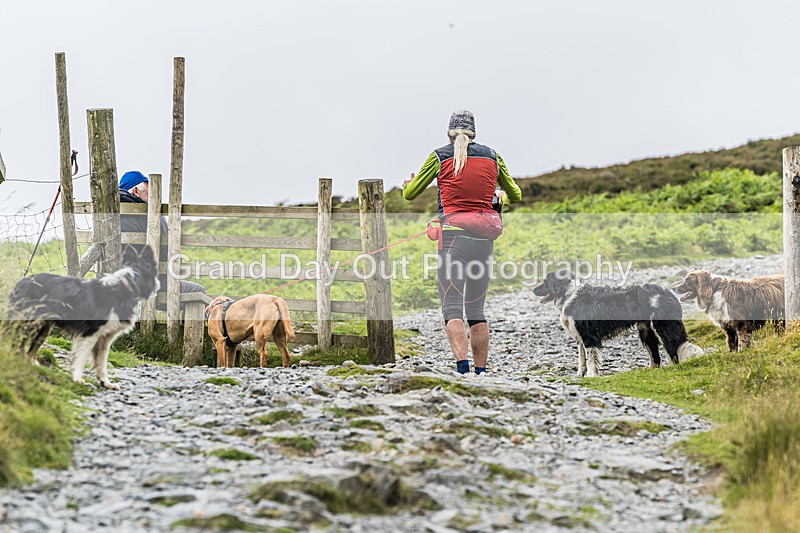 Skiddaw-398 - Skiddaw Fell Race Sunday 7th July 2014