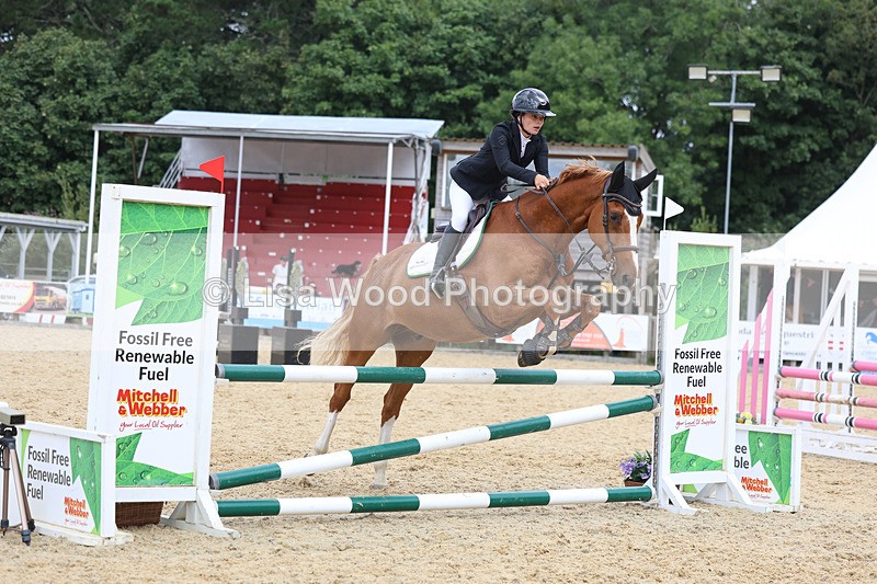 3E7A5187 - Class 4: Senior British Novice/90cm open