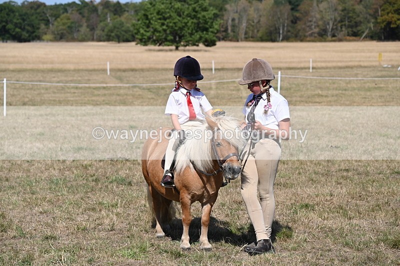 WJ6_9513 - Class 40 Cheekiest Pony/Horse