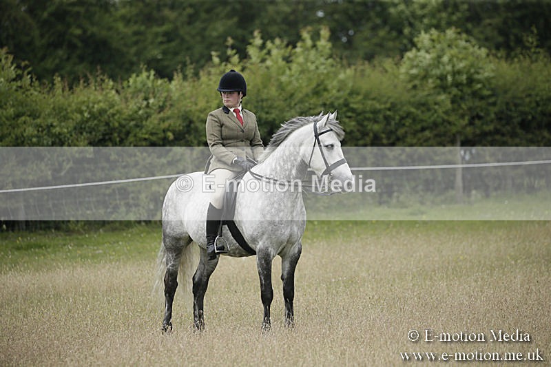 B230619-0504 - Bourne Valley Riding Club Summer Show 23/06/19
