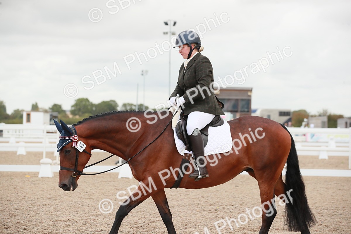 SBM_03800 - Class 31 - Prelim 1