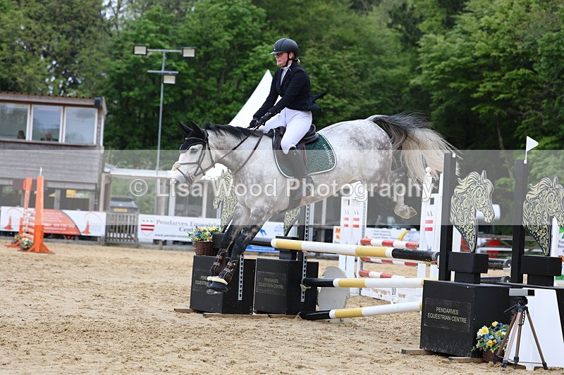 3E7A6417 - Class 4: Senior British Novice/90cm open